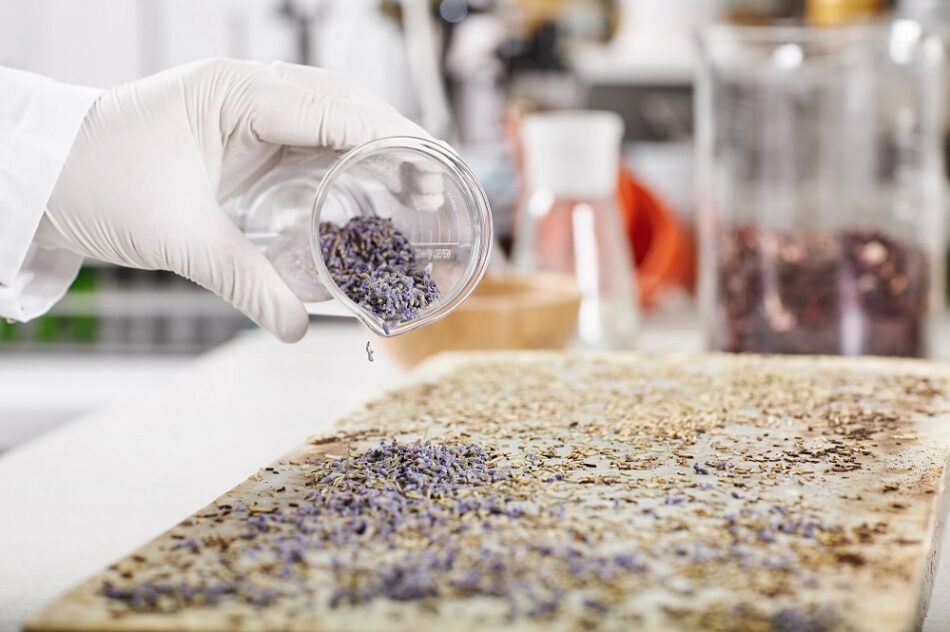 The Key to Pharmaceutical API Raw Material