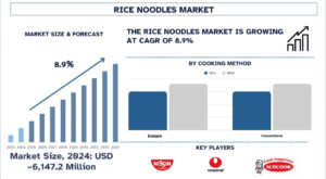 Rice Noodles Market
