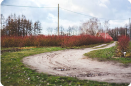 Drainage & Culvert Pipes Dahlonega GA and Dirt Driveway Installation Dahlonega GA: Essential Solutions for Your Property