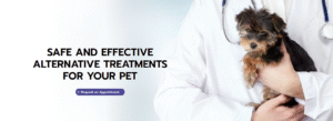 Why Regular Veterinary Check-Ups Are Important for All Pets