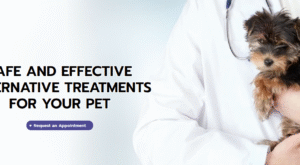 Why Regular Veterinary Check-Ups Are Important for All Pets