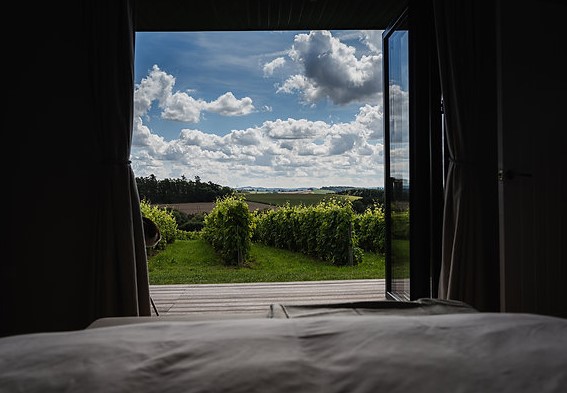 Escape to Nature’s Tranquillity: Discover Luxury Countryside Lodges with Stars and Vines
