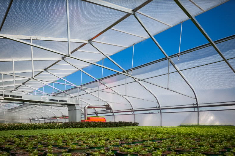 Is 6 Mil Thickness the Right Choice for Your Greenhouse Plastic Cover?