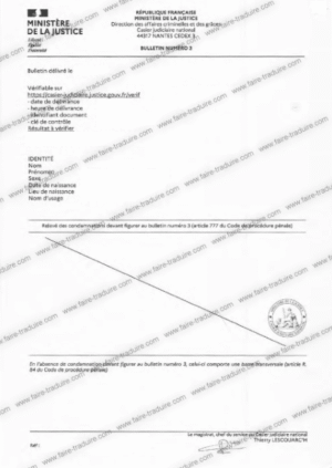 Traduction assermentée Casier judiciaire Bulletin n° 3: Document officiel garanti