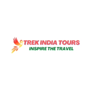 Luxury Train India Tour Packages from Delhi by Trek India Tour