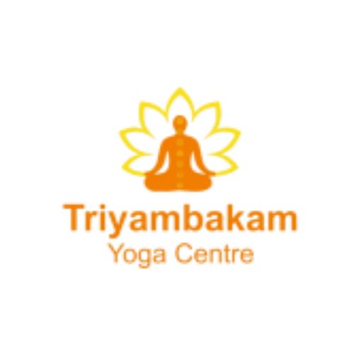 Best Hatha Yoga Training in Rishikesh – Deepen Your Practice at Triyambakam Yoga Centre