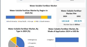 Water Soluble Fertilizer Market, Competitive Analysis and Demand Dynamics 2025-2032