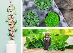 A Complete Guide to Ayurvedic Medicine for Diabetes and Ayurvedic Medicine for Blood Pressure