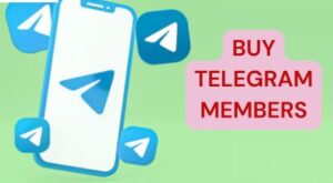 10 Best Sites to Buy Telegram Members 