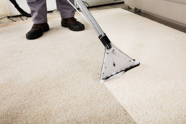 Professional Carpet Cleaners in Barnsley Near You