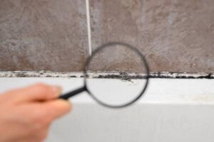 The Difference Between Mold Swabs and Air Sampling Explained
