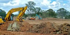 Professional Land Clearing Services: The First Step to Any Successful Project