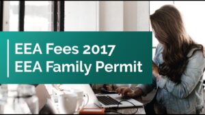 Post-Brexit Pathways: A Diagnostic Guide for Families of EU Nationals in the UK