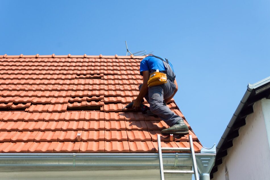 The Complete Guide to Choosing the Right Roofing Services for Your Next Project
