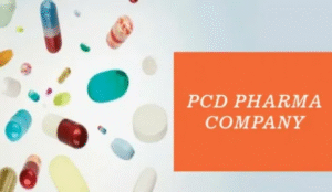 Top Trends Shaping The Future Of PCD Pharma Franchise Companies