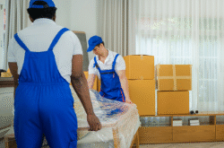 Furniture Removal Service