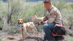 How Women Are Gaining Confidence Through Hunting Dog Training