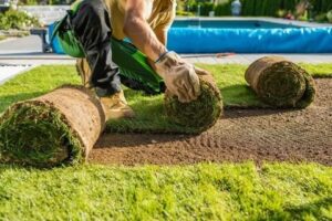 Affordable Sod Installation Services Near Me In North Miami, FL