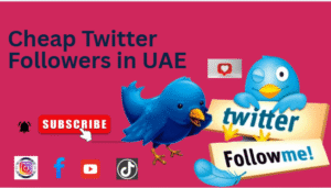 Who Should Buy Twitter Accounts in UAE?
