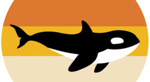 Expert Trash Can Cleaning for a Fresher, Odor-Free Home