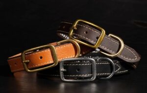 Leather Dog Collars Canada – The Perfect Blend of Quality and Elegance for Pets