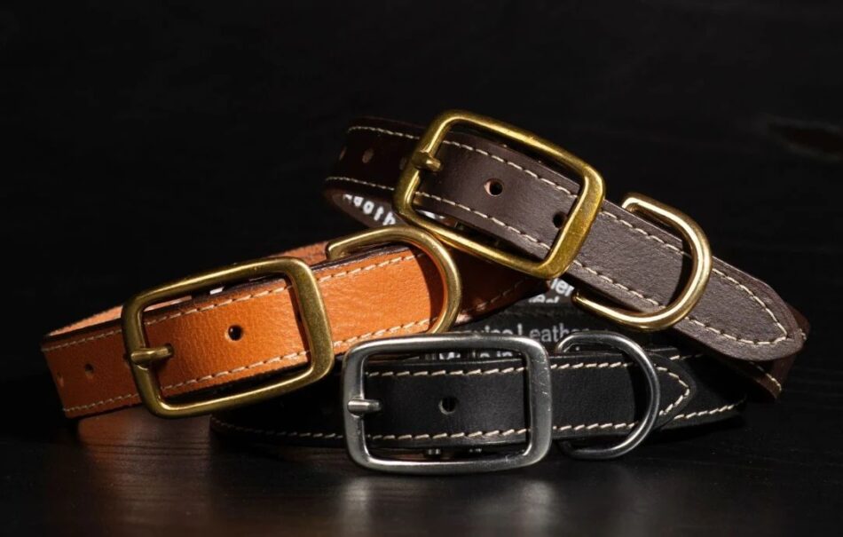 Leather Dog Collars Canada – The Perfect Blend of Quality and Elegance for Pets