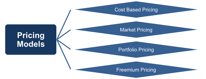 What Is a Regional Pricing Strategy and How Does It Work?