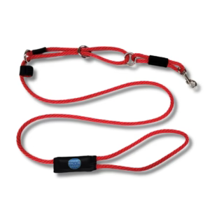 Hands-Free or Traditional? Choosing the Right Dog’s Leash for You