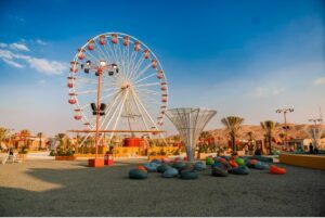 Liwa Desert Safari | Full Day, Festival, Evening & Overnight Tours from Abu Dhabi