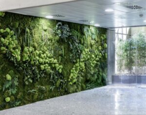 Jardín Vertical – Diseño, Innovación y Naturaleza en tu Hogar o Negocio