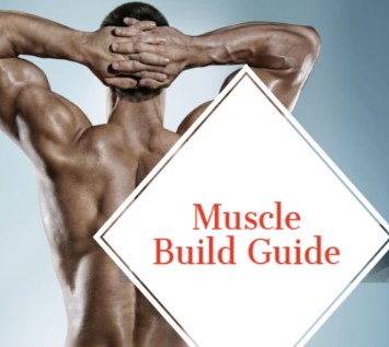 Enhance Your Muscular Endurance Naturally with Legal Steroid Alternatives