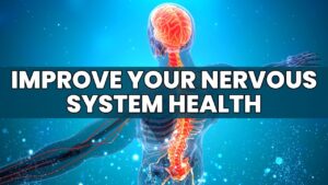 Nerve Health: A Complete Guide to Stronger Body Communication-