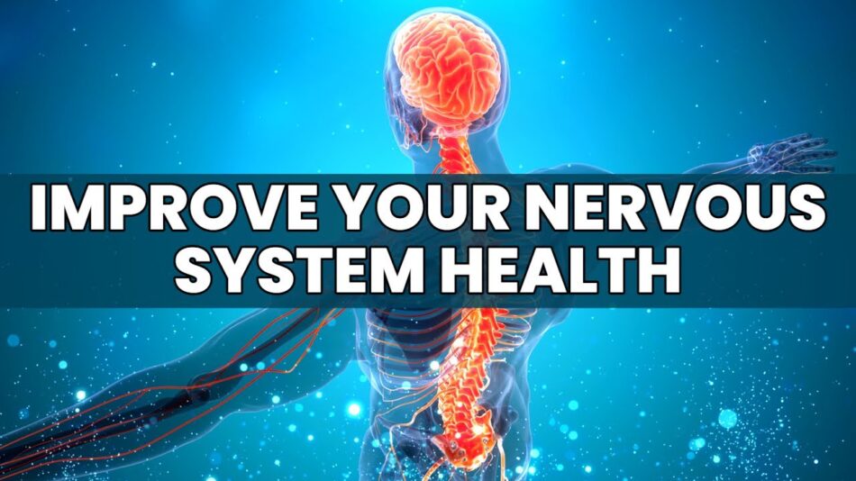 Nerve Health: The Foundation of a Strong Body and Mind
