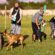 obedience training GA