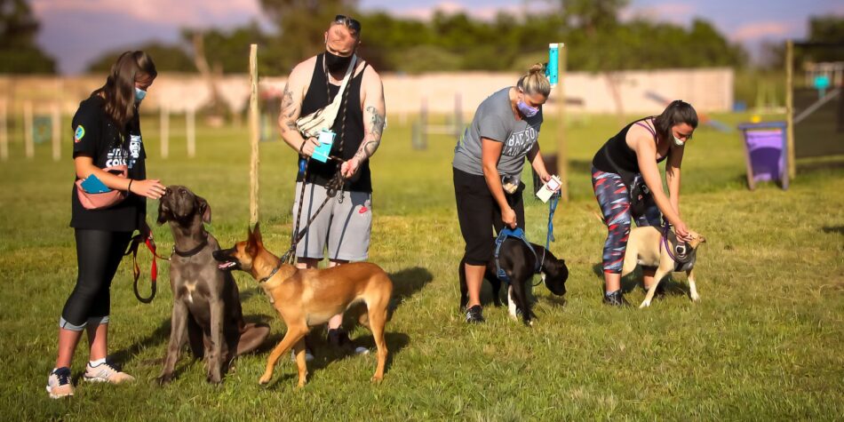 obedience training GA