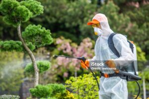 Looking for Top Tree Care & Firewood Services Near You?