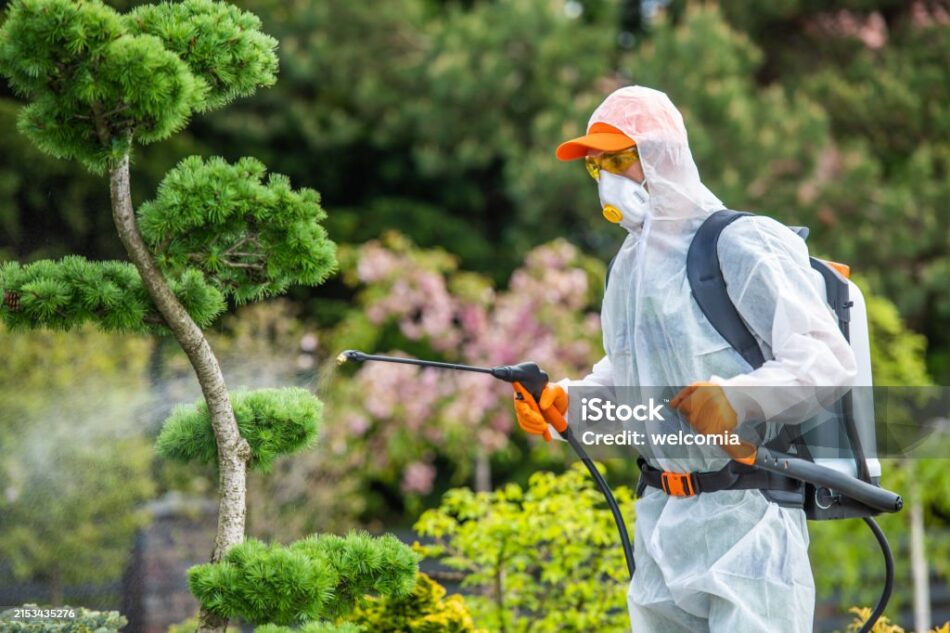 Looking for Top Tree Care & Firewood Services Near You?