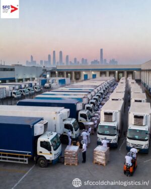 Cold Chain Logistics Mumbai & Delhi: Ultimate 2025 Guide