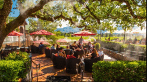 Best CPA for Wineries and Breweries: Expert Tax & Accounting Support