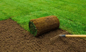 Why Choose Turfing Services in Carlsbad CA This Year?