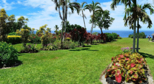 Top Lawn Care Services in Davie FL for Your Yard