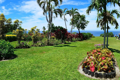 Top Lawn Care Services in Davie FL for Your Yard