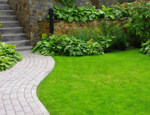 How Landscaping Services Can Enhance Curb Appeal in Trenton GA