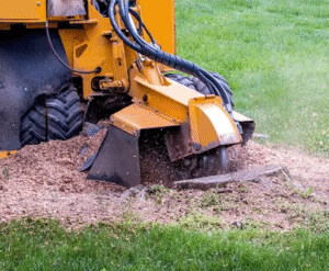 Stump Grinding Quick Service in Virginia Beach VA