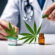 Understanding Kentucky’s Medical Marijuana Laws and Patient Rights