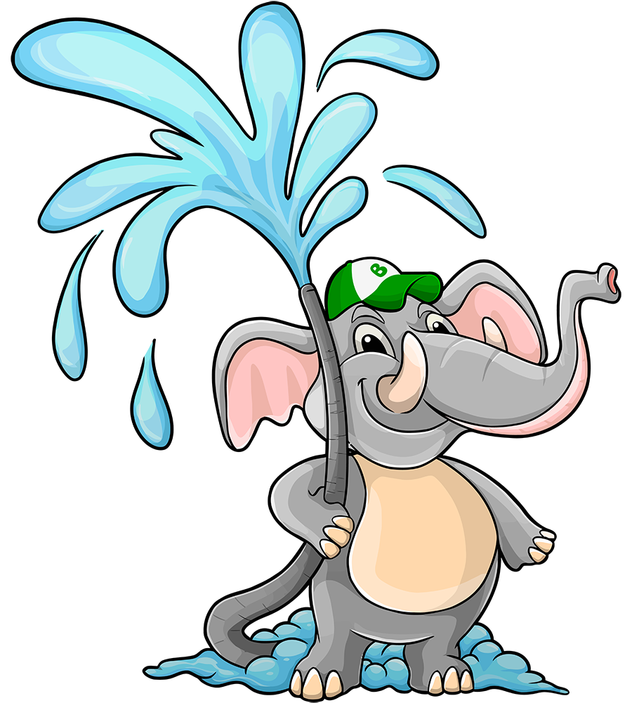 Why Your Garbage Bin Needs More Than an Occasional Rinse