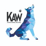 The Power of NGO Donations: How Your Support Can Change Lives