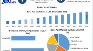 Boric Acid Market Competitive Analysis and Demand Dynamics 2025-2032