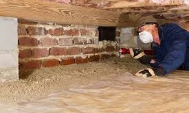 Top Crawl Space Cleaning Services to Protect Your Home