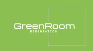 Mold Remediation in NYC